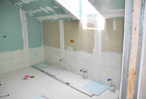 Best Basement Mold Removal  in Forked River, NJ
