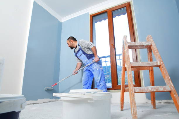 Best Black Mold Removal  in Forked River, NJ